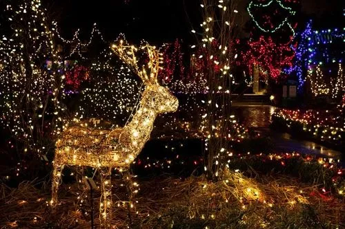 圣誕燈電池盒如何全自動(dòng)化組裝電池片/開關(guān)/PCB板等配件